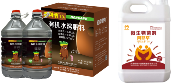 普利纳＋阿耶早.png