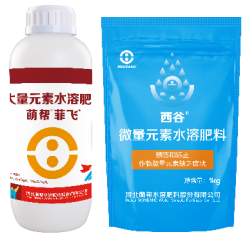菲飞＋西谷.png
