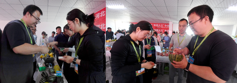 河北萌帮果蔬大王争霸赛顺利举办5.png