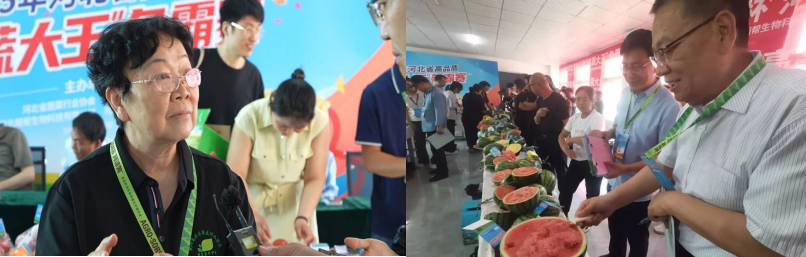 河北萌帮果蔬大王争霸赛顺利举办8.png
