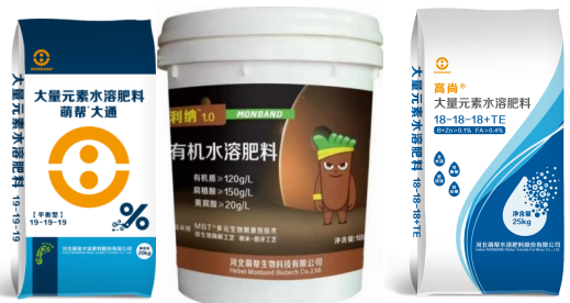 普利纳+大通+高尚.png