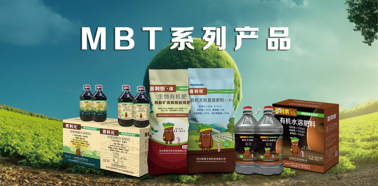 萌帮MBT产品权威认证8.png
